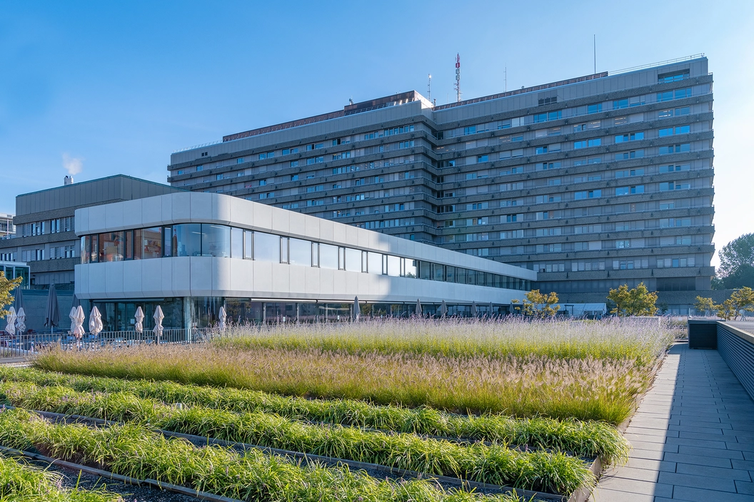 Three hours on paperwork for every hour with patients